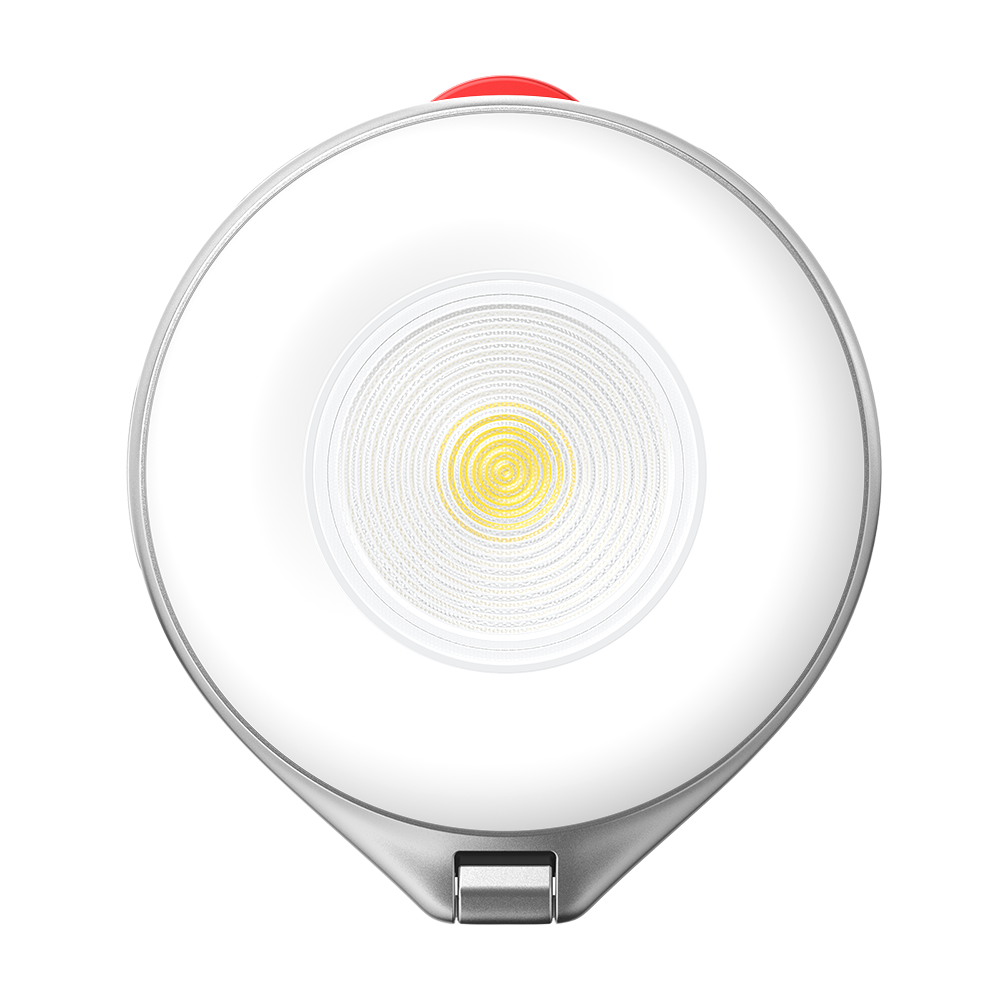 TELESIN 2 In 1 Magnetic Flashlight & Selfie Light