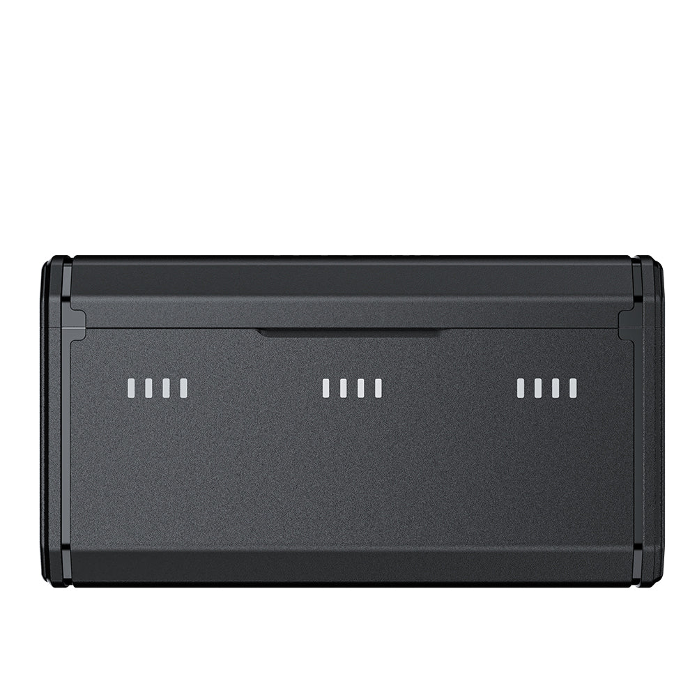 TELESIN Portable Charging Case with 2 NP-BX1 Batteries for Sony